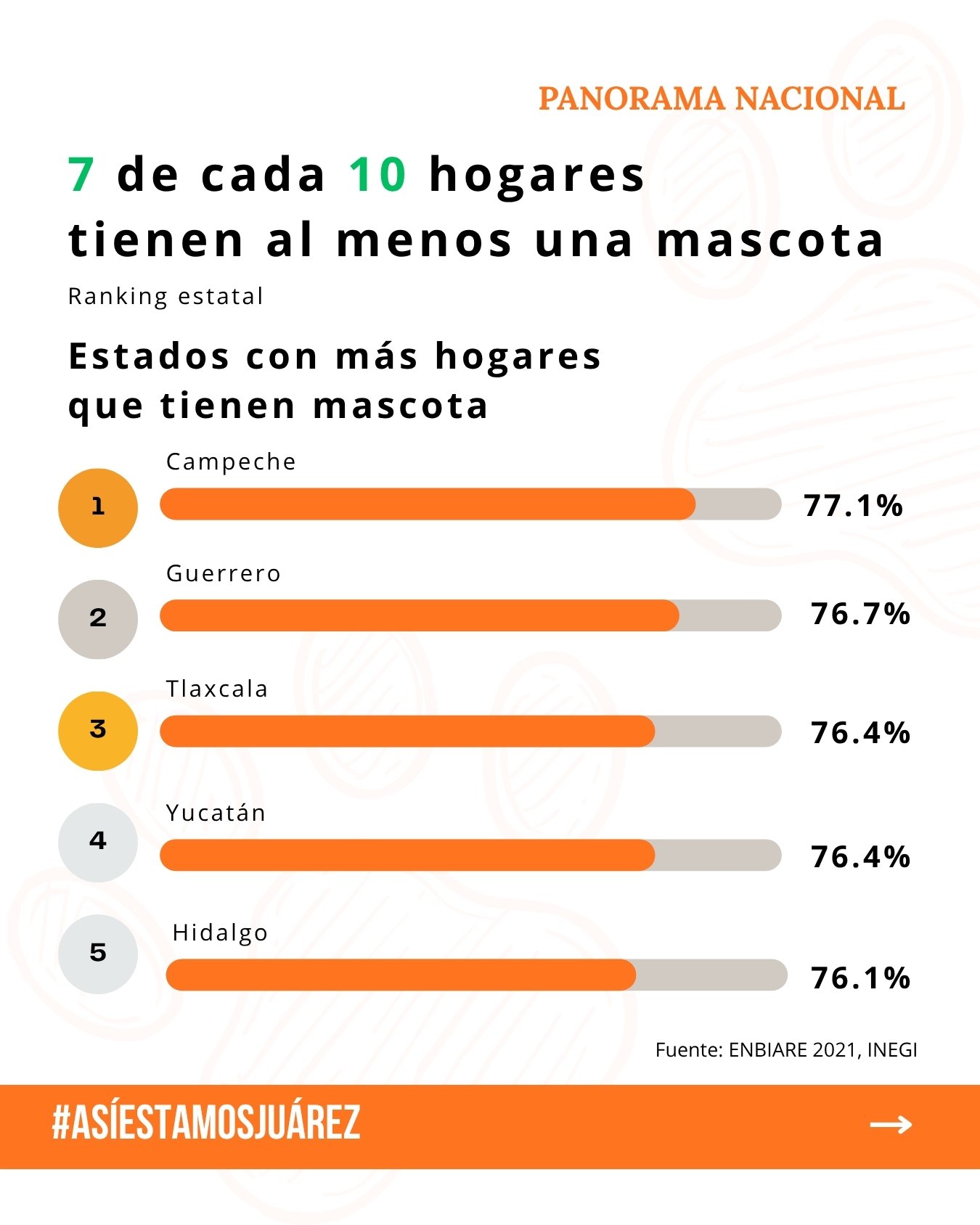 80 millones de mascotas en México (2 de 4)