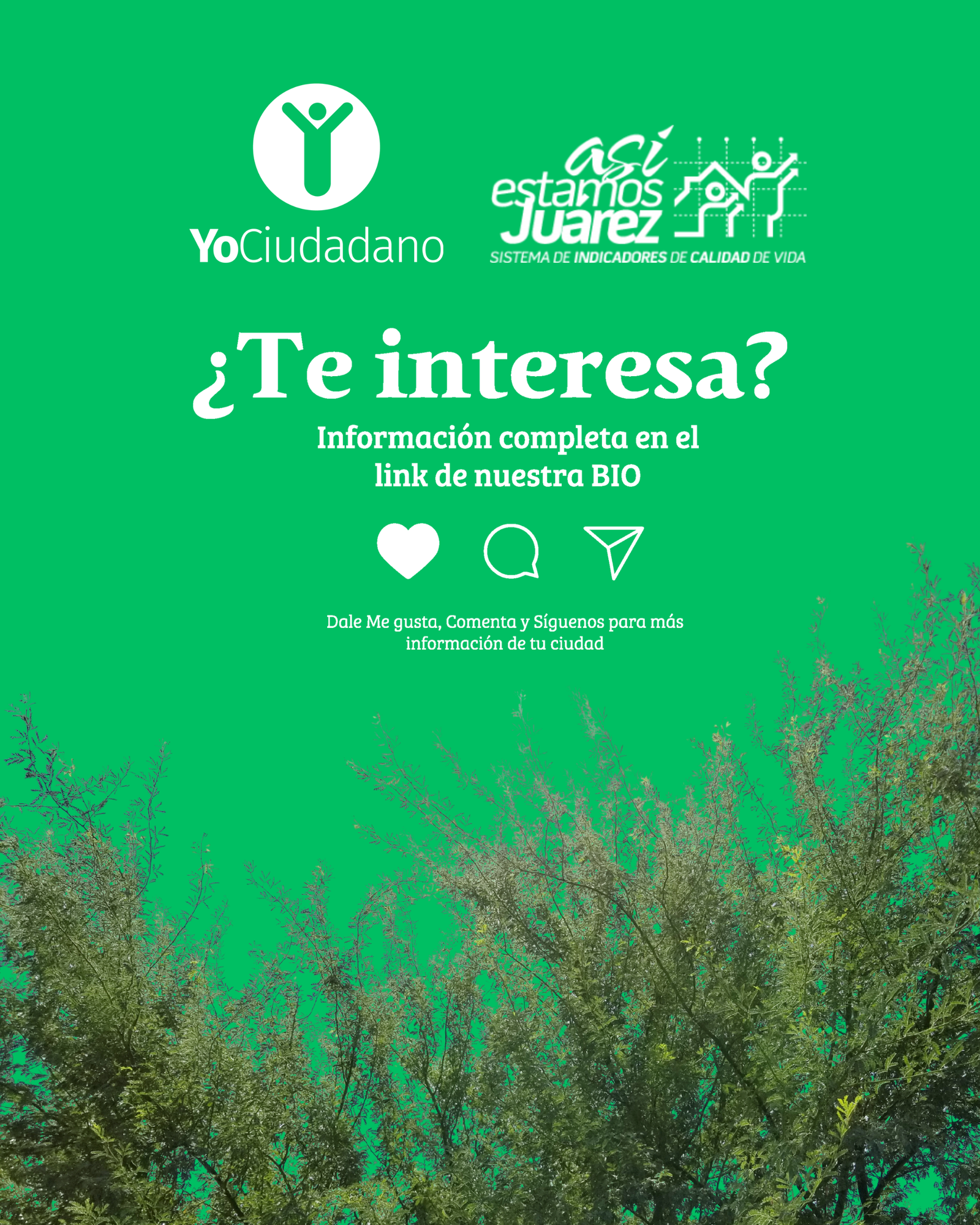 ¿Sabes cuánta superficie de parques hay donde vives? (4 de 4)